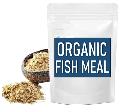 Fish feed import in Ethiopia