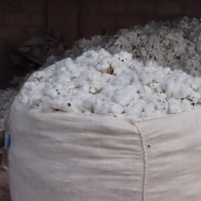 Tab Impex Plc Website Image 16 5